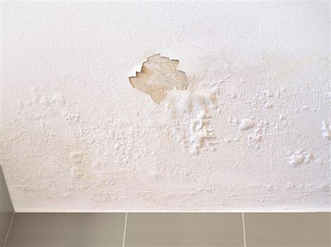 water damaged drywall|How to Repair Water Damaged Drywall